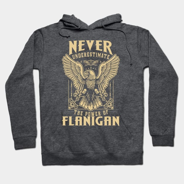 Never Underestimate The Power Of Flanigan Hoodie by tuneitoutstudio